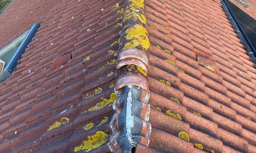 Inspectie van een pannendak en nokvorsten Inspectie van een pannendak en nokvorsten