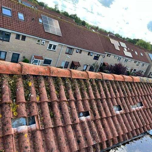 Nokvorsten zijn opnieuw vastgezet Nokvorsten zijn opnieuw vastgezet